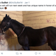 Illustration for article titled Hell Predictably Breaks Loose After Trainer Names Horse Grape Soda to Antagonize Black Announcer
